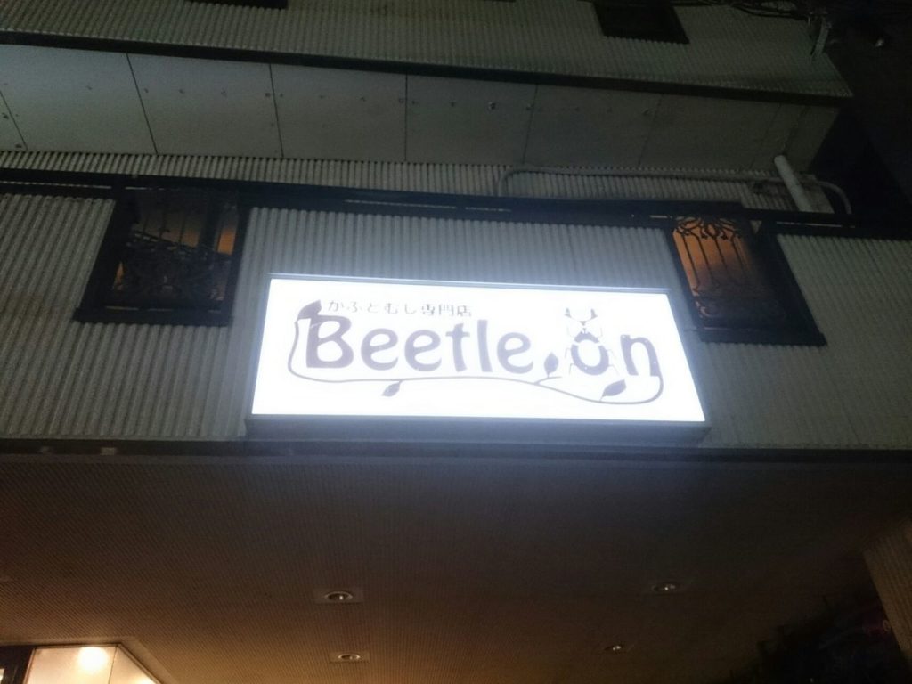 Beetle-on