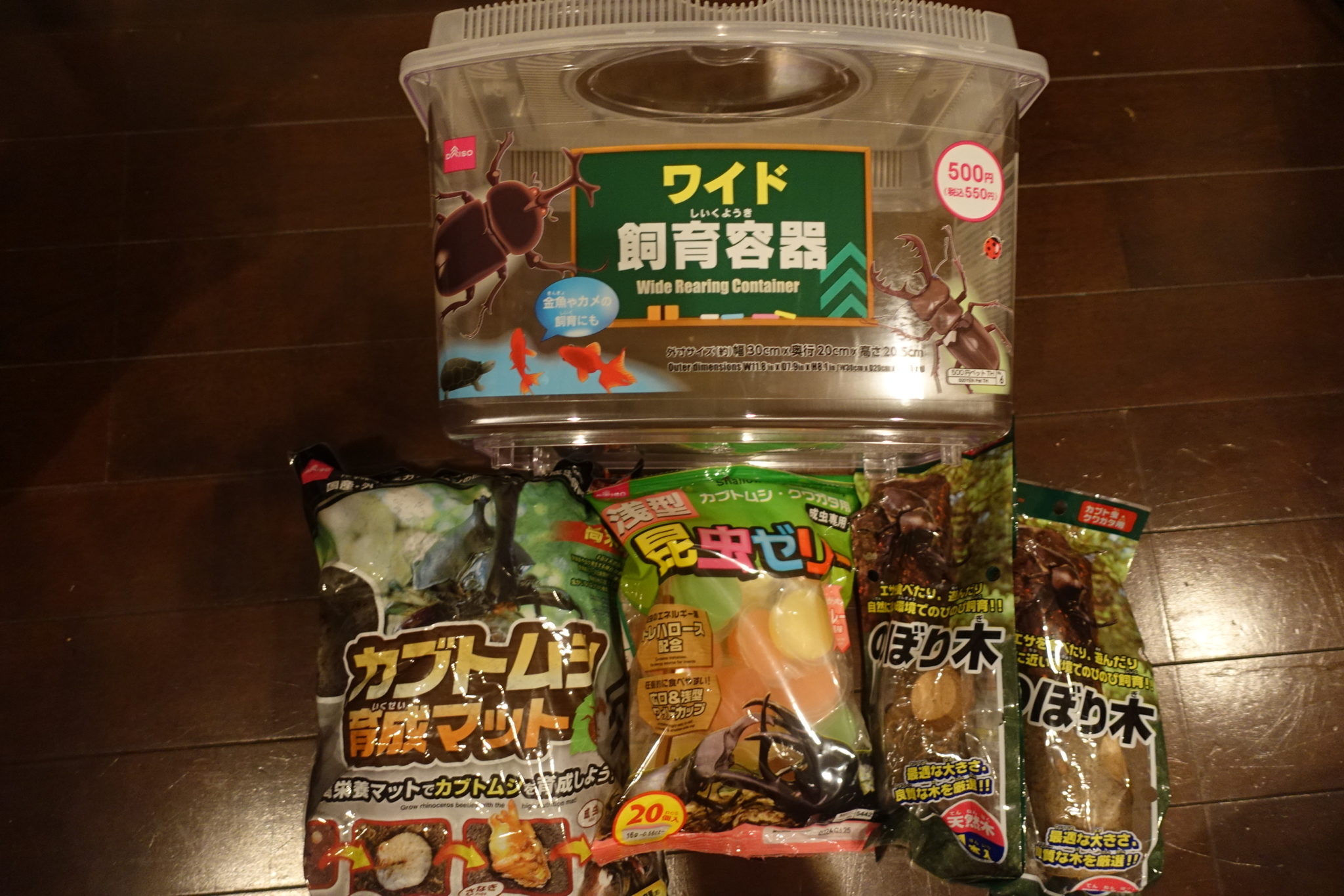 カブトムシの飼育