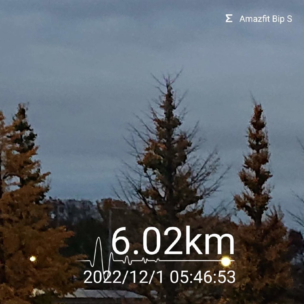 ジョギング記録